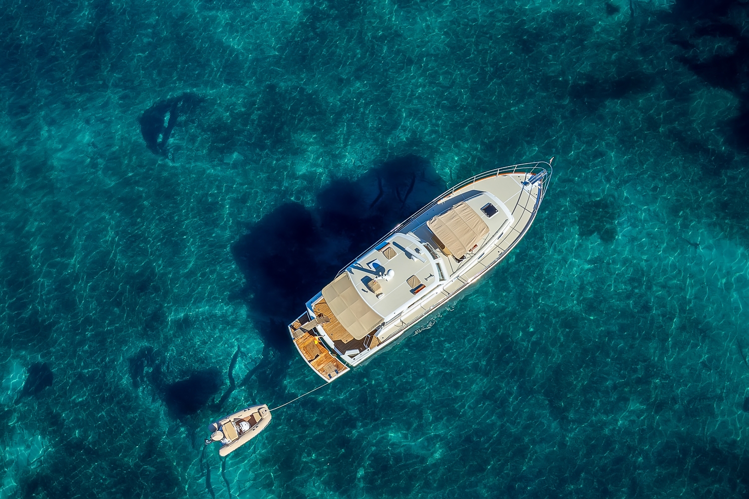 Arrival Blue Banjo 56